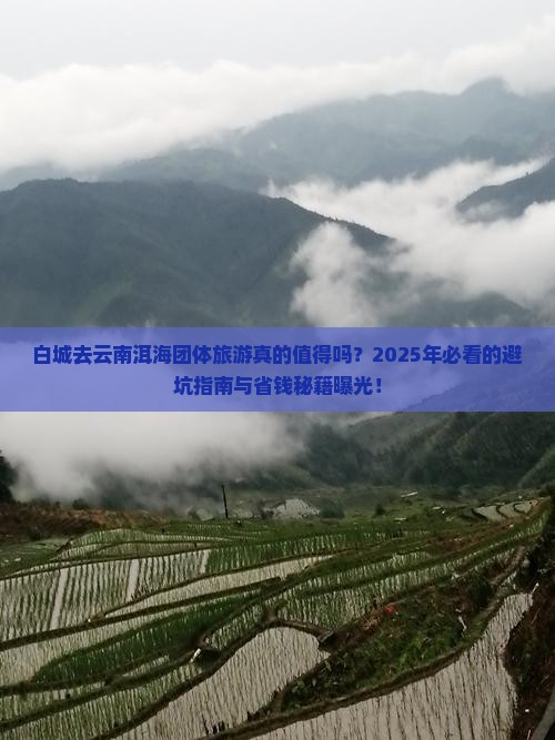 白城去云南洱海团体旅游
