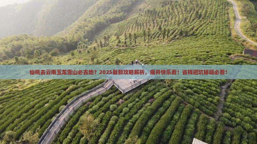 仙桃去云南玉龙雪山必去地