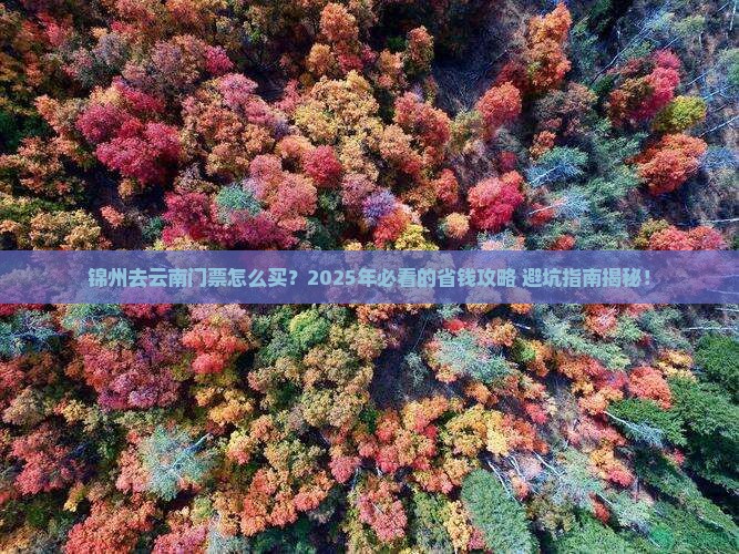 锦州去云南门票