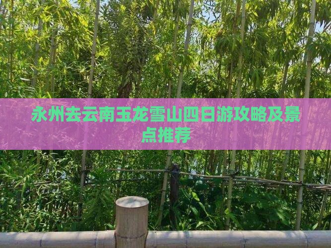 永州去云南玉龙雪山四日游