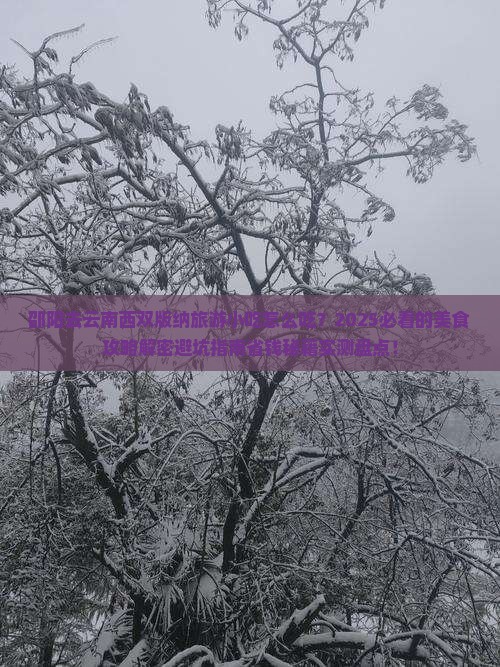 邵阳去云南西双版纳旅游小吃