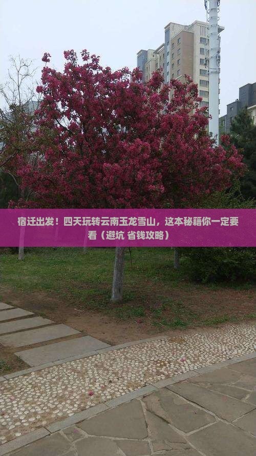 宿迁到云南玉龙雪山四日游