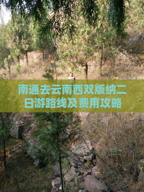 南通去云南西双版纳二日游