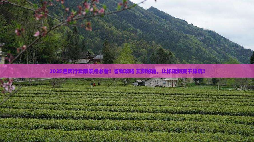 迪庆去云南景点