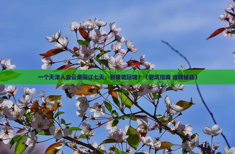 天津到云南丽江七日游