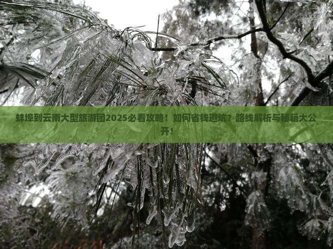 蚌埠到云南大型旅游团