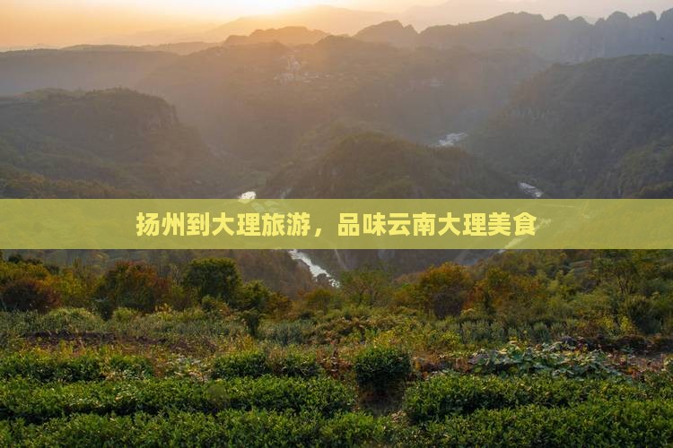 扬州到云南大理旅游小吃