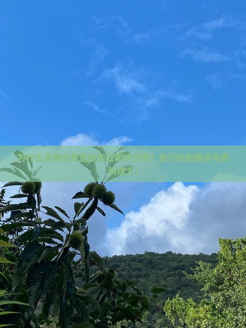 海南省直辖到云南泸沽湖旅行社