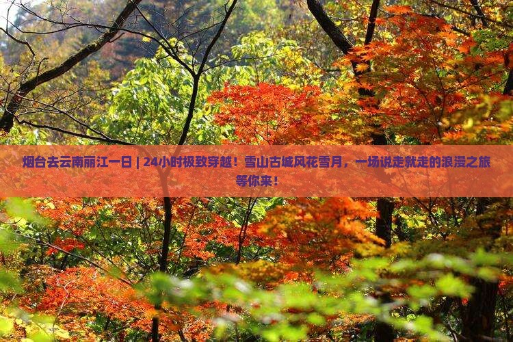 烟台去云南丽江一日