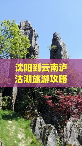 沈阳到云南泸沽湖门票