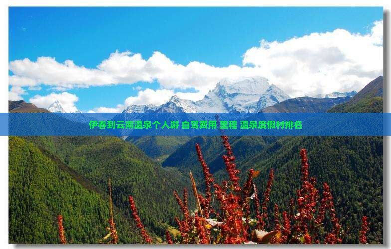 伊春到云南温泉个人游