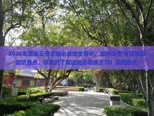 东营去云南古城必去地