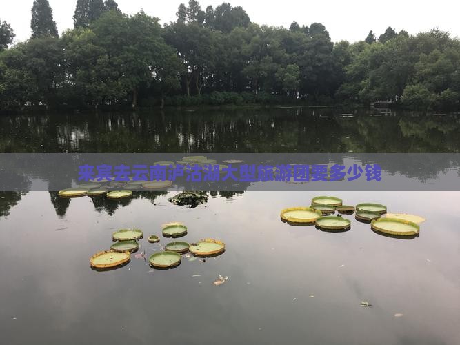来宾去云南泸沽湖大型旅游团