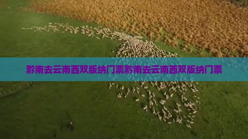 黔南去云南西双版纳门票