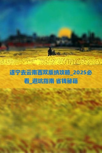 遂宁去云南西双版纳攻略