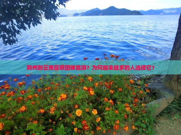 荆州到云南昆明团体旅游