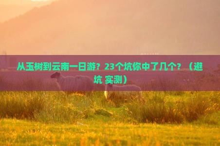 玉树到云南一日