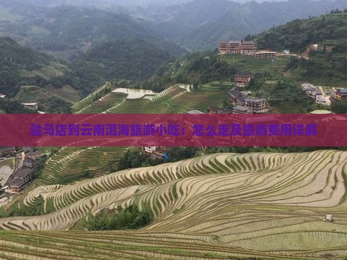 驻马店到云南洱海旅游小吃