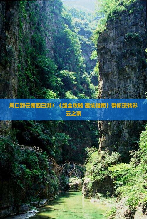 周口到云南四日游