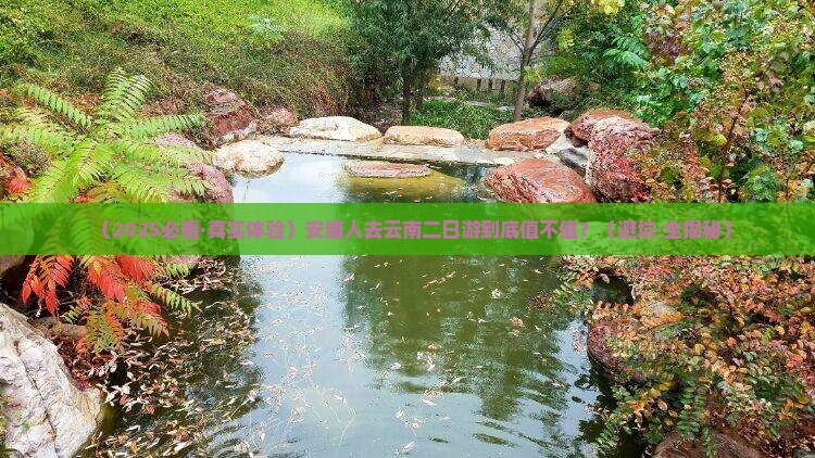安康去云南二日游