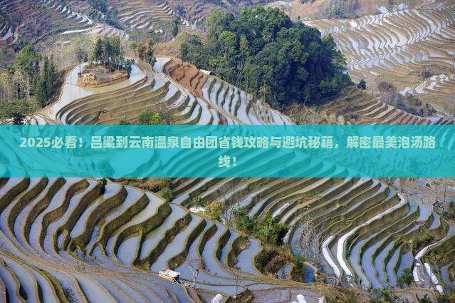 吕梁到云南温泉自由团