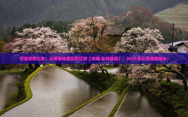 巴音郭楞到云南香格里拉四日游