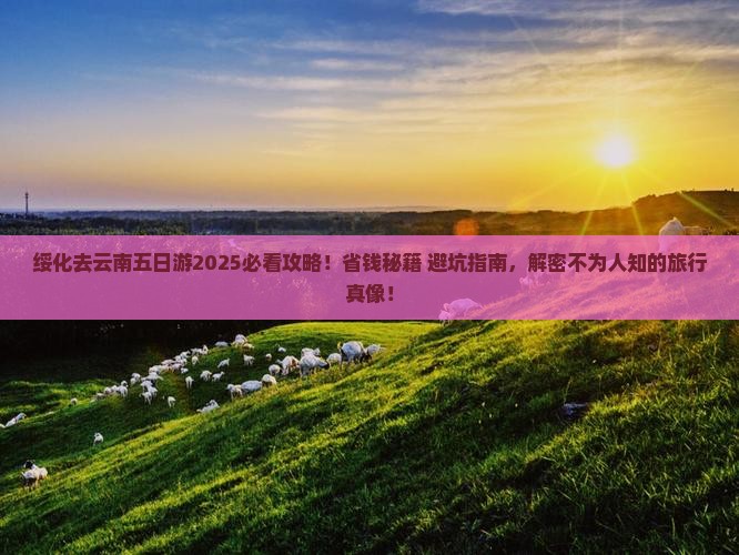 绥化去云南五日游