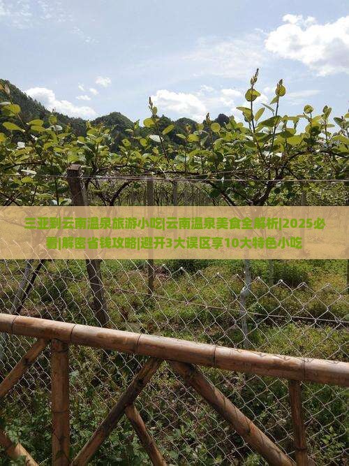 三亚到云南温泉旅游小吃