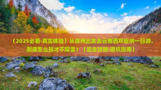 徐州去云南西双版纳一日