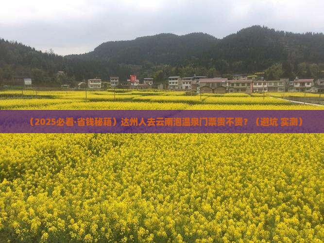 达州去云南温泉门票