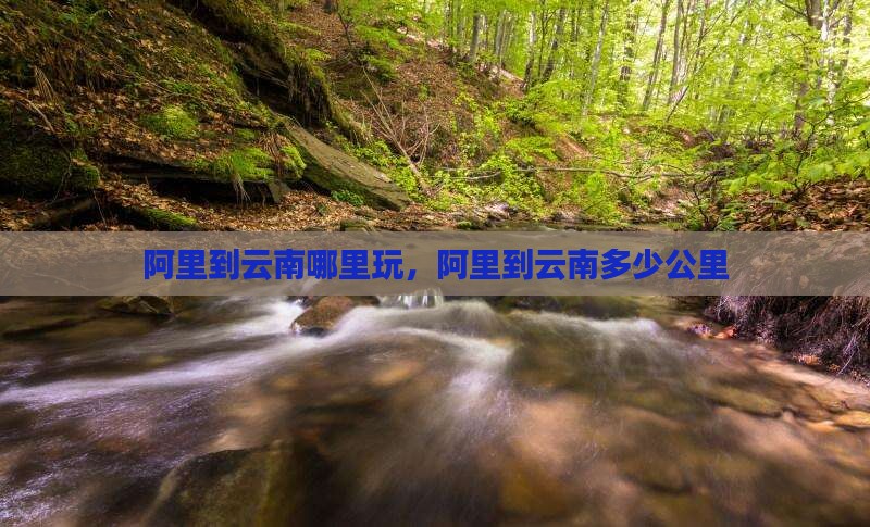 阿里到云南哪里玩