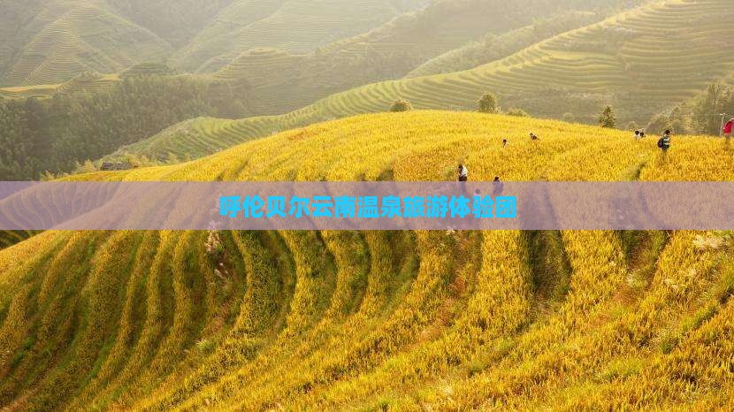 呼伦贝尔去云南温泉大型旅游团