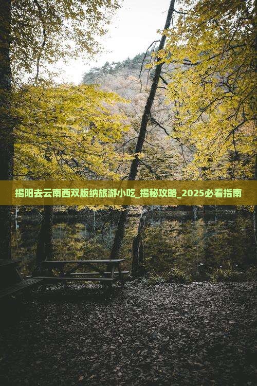 揭阳去云南西双版纳旅游小吃