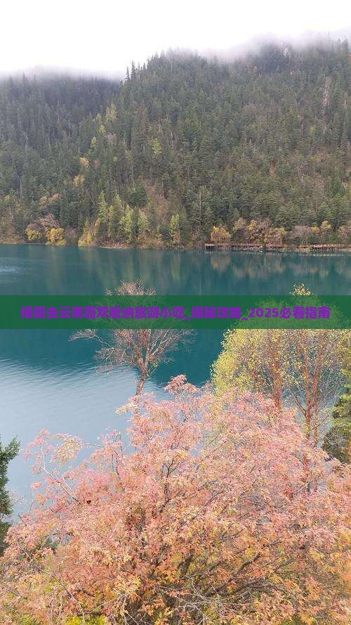 揭阳去云南西双版纳旅游小吃
