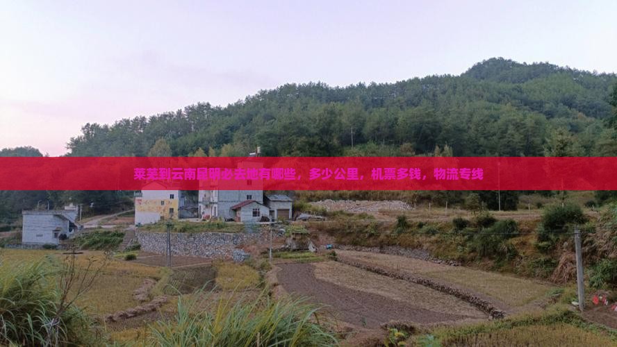 莱芜到云南昆明必去地