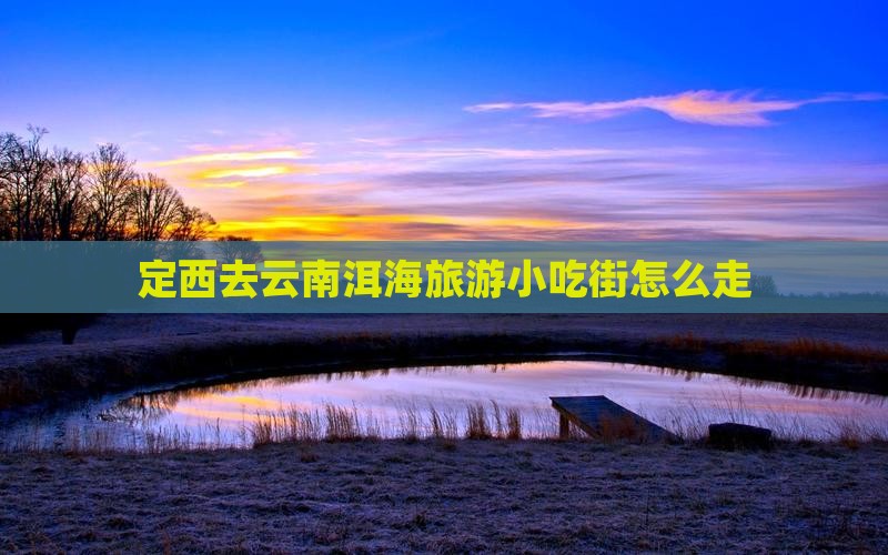 定西去云南洱海旅游小吃