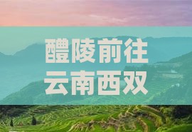 醴陵去云南西双版纳团体旅游