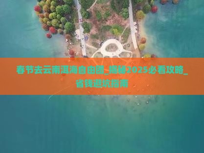 春节去云南洱海自由团