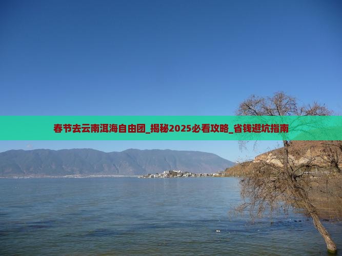 春节去云南洱海自由团