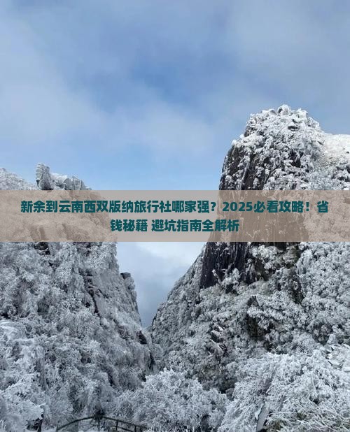 新余到云南西双版纳旅行社