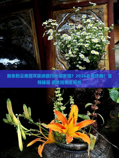 新余到云南西双版纳旅行社