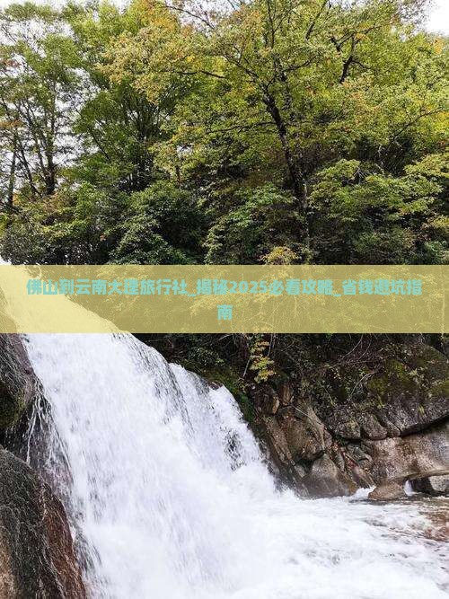 佛山到云南大理旅行社