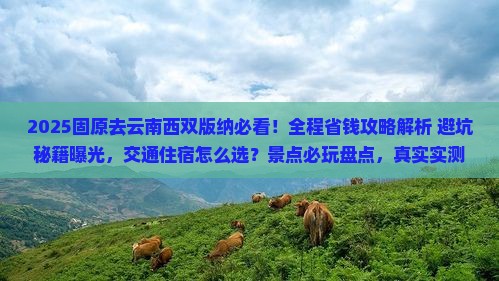 固原去云南西双版纳攻略