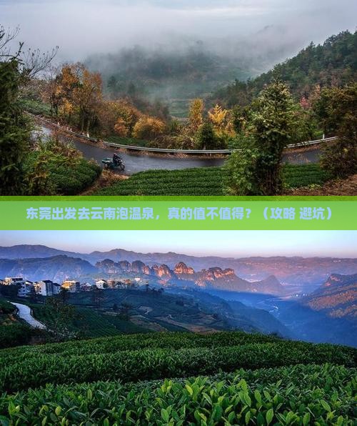 东莞去云南温泉个人游