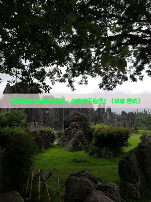 东莞去云南温泉个人游