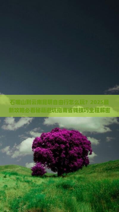石嘴山到云南昆明自由行