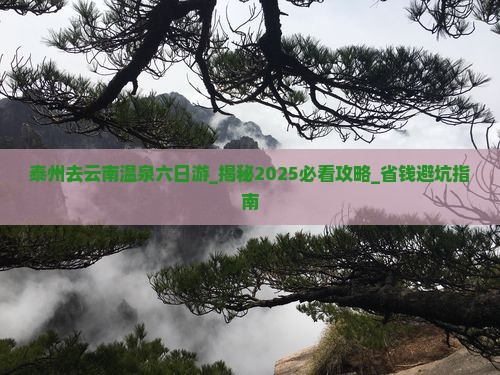 泰州去云南温泉六日游