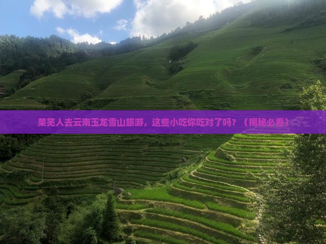 莱芜去云南玉龙雪山旅游小吃