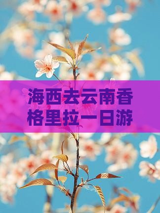 海西去云南香格里拉一日