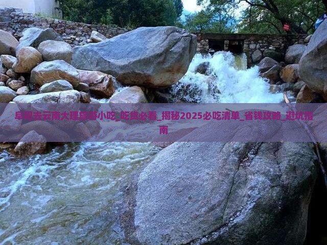 阜阳去云南大理旅游小吃